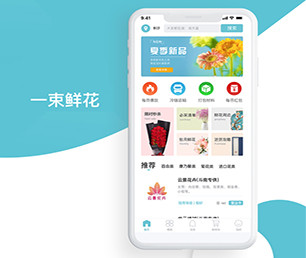 武汉APP定制OA系统让我们一起开发出你的下一个杰作【折上再折，超值优惠】